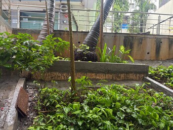 Goyal Green Woods