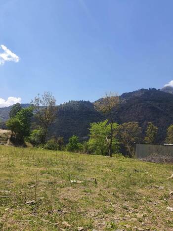 Plot for Sale in Beolia, Shimla