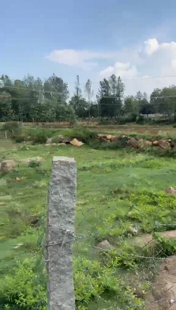 Plot for Sale in Yelagiri, Vellore