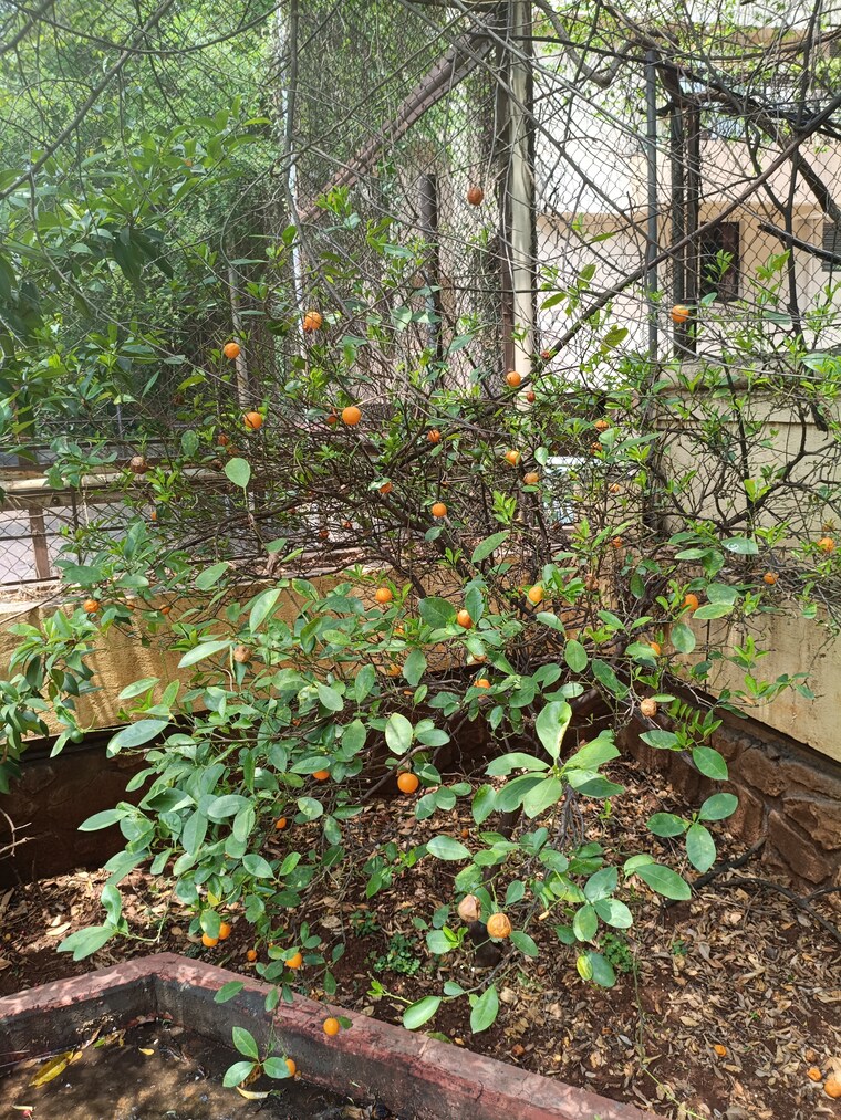 Garden, k-raheja-gardens 4 Bedroom 4500 Sq.Ft. Villa In Wanowrie Pune 10717682