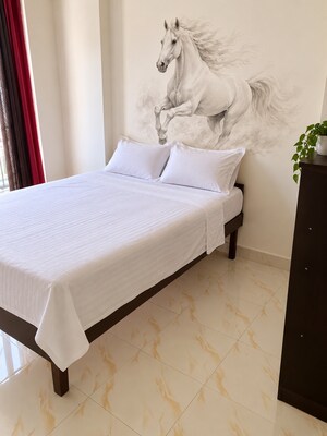 2 BHK Apartment For Rent in Apex Our Homes, Sector 37c