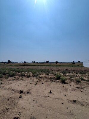  Plot For Sale in Sohna