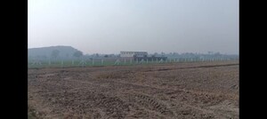 Plot Area in  Plot at Sohna – for Sale