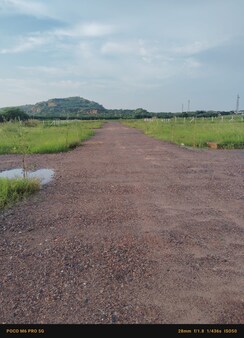 Plot For Sale in Sohna