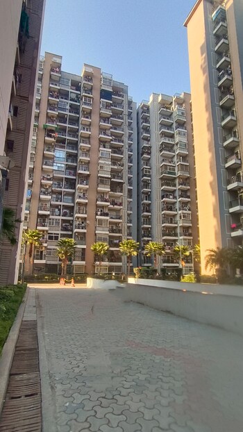 Saviour Park
