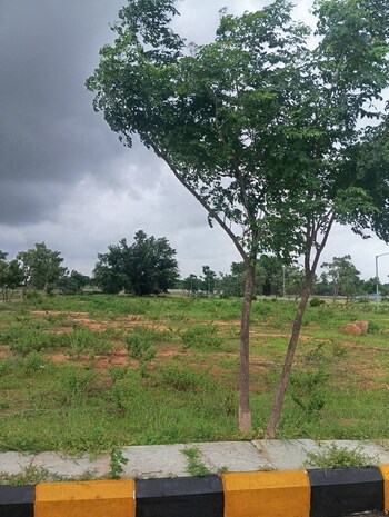 Pavan Green Aero View