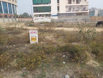 Plot for Sale in Gaur Yamuna City, Greater Noida
