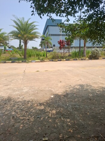 Alekhya Elite County