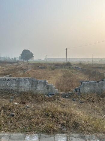 TDI City Kundli