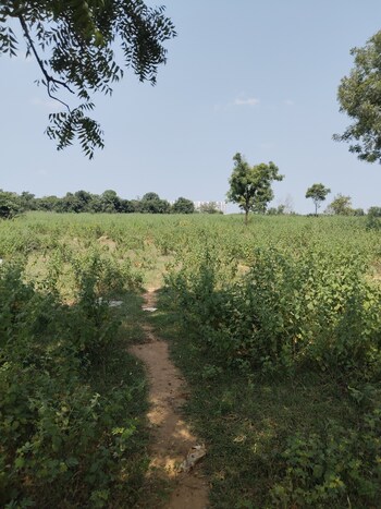 Land for Sale in Bowrampet, Hyderabad