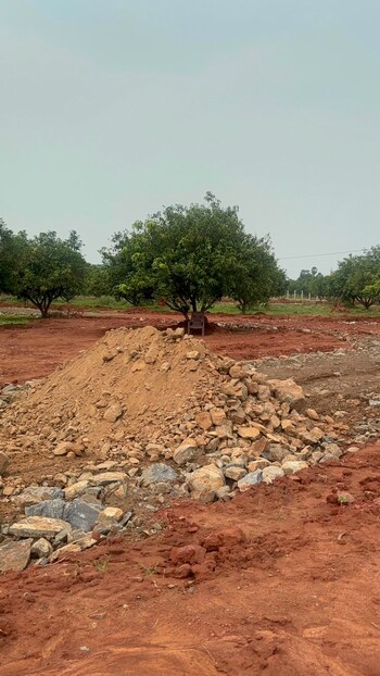 Plot for Sale in Vijayawada One Town, Vijayawada