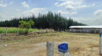 Plot for Sale in Kalapatti, Coimbatore