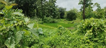 Sivana Riverside Paradise