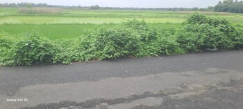 Plot for Sale in Gobindapur, Kolkata