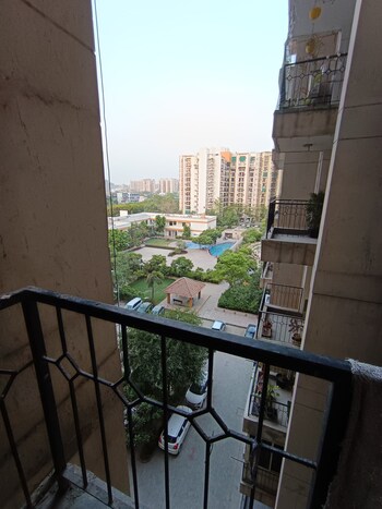 Umang Summer Palms