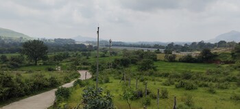 Plot for Sale in Igatpuri, Nashik