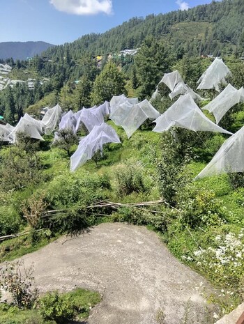 Plot for Sale in Naldehra, Shimla