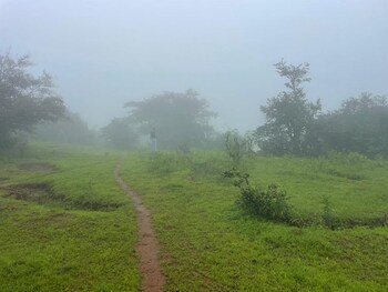 Plot for Sale in Bhor, Pune