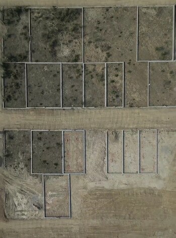 Plot for Sale in Jhalwa, Allahabad