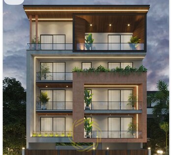 Amolik Aster Woods