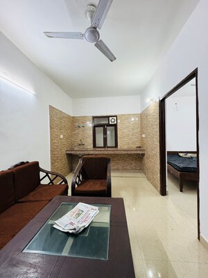 1 BHK Apartment For Rent in Saket