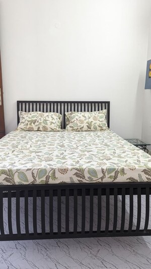 1 BHK Apartment For Rent in Omaxe NRI City Plots, Omega Ii Greater Noida