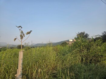 Plot for Sale in Panvel, Navi Mumbai