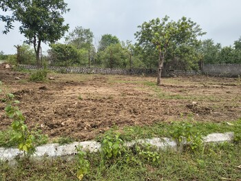 Lahari Alekhya