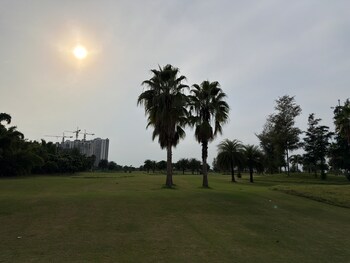 Plot for Sale in Sector 22d Yamuna Expressway, Greater Noida
