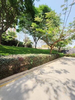  Villa – Garden View at Prestige White Meadows Villas, Whitefield - for Rent
