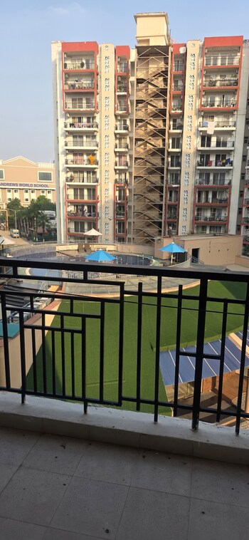 Orris Aster Court Premier