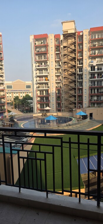 Orris Aster Court Premier
