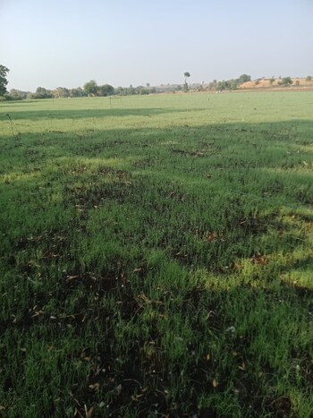 Plot for Sale in Chandukhedi, Ujjain