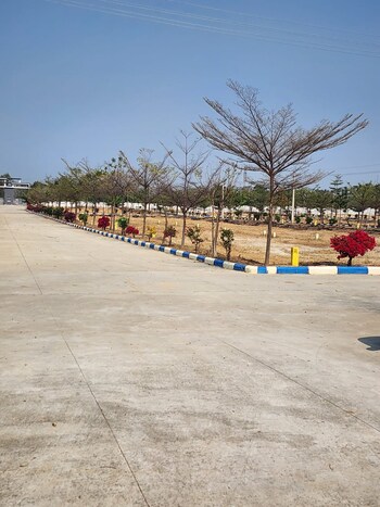 TMR Green Meadows