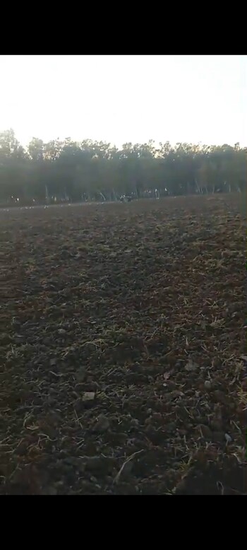 Land for Sale in Didauli, Amroha