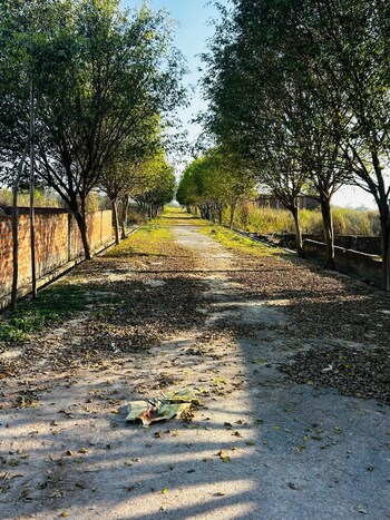 Plot for Sale in Mohanlalganj, Lucknow