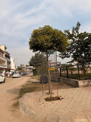  Plot – Exterior View View at Aerocity - for Sale