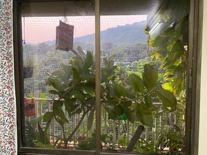 Balcony in 2 BHK Apartment at Ashoka Upvan CHS, Thane West – for Rent