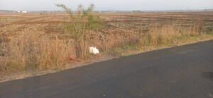 Plot Area in  Plot at Panvel – for Sale