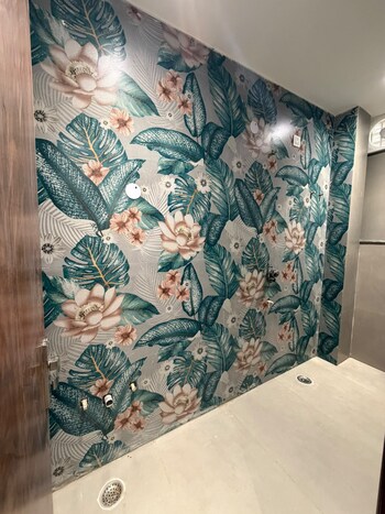 2 BHK Builder Floor for Rent in Pitampura, Delhi