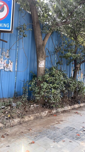 Vaishnavi Miyapur