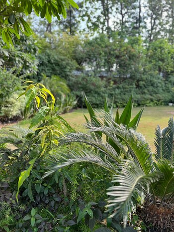 Plot for Sale in Chattarpur, Delhi