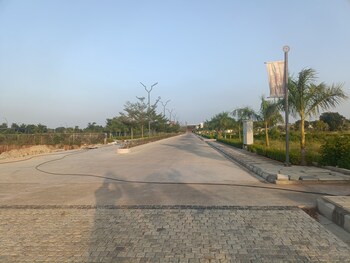 Gowra Green Dale