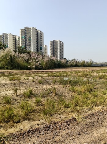 Plot for Sale in Dhankot, Gurgaon
