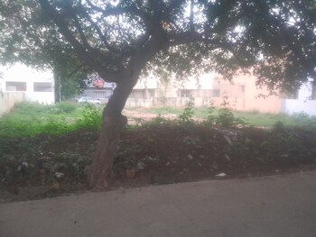 Plot for Sale in Nri Layout, Bangalore
