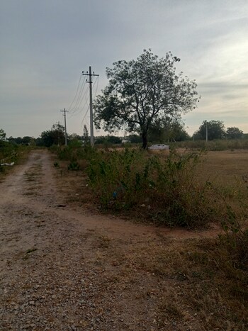 Plot for Sale in Maheshwaram, Hyderabad