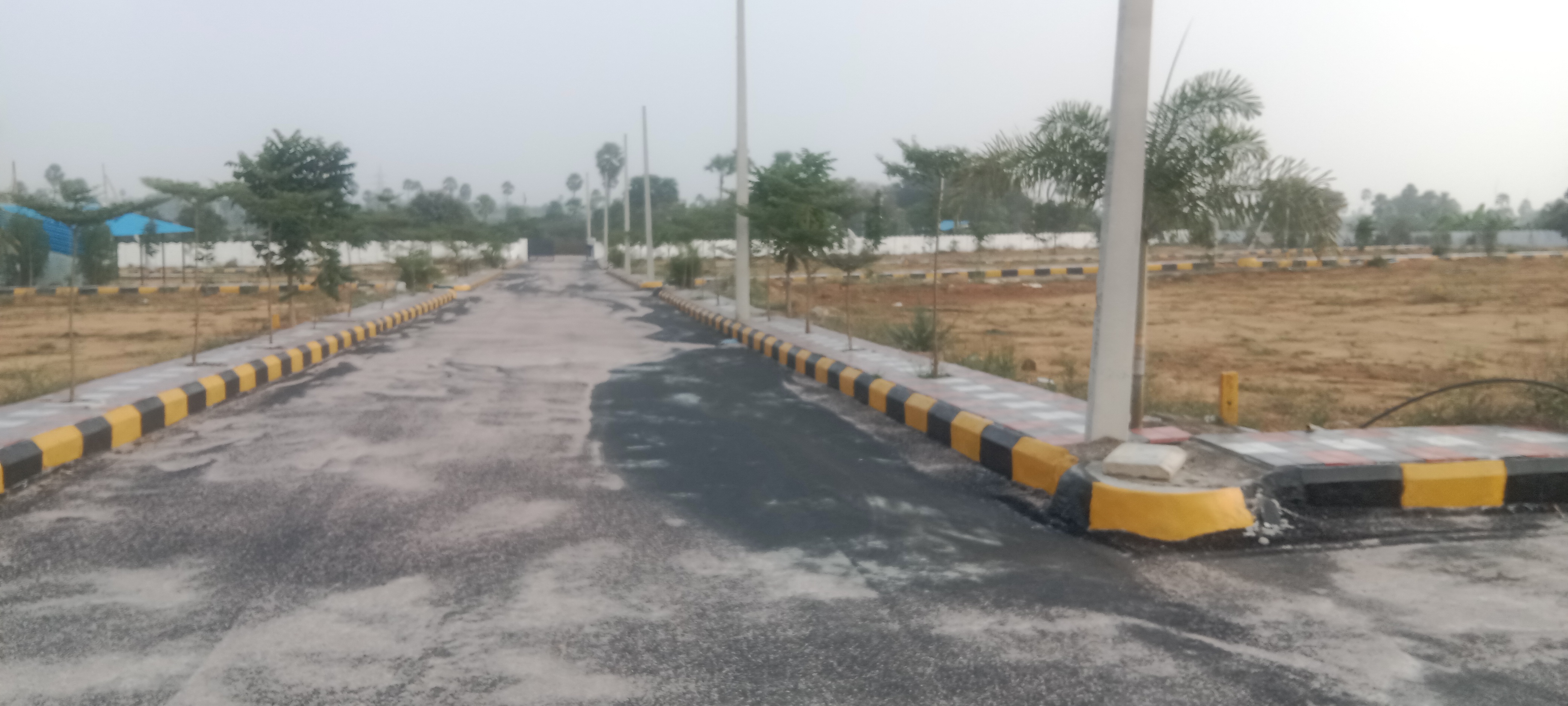  Plot For Resale in Rani Gunj Hyderabad 6166379