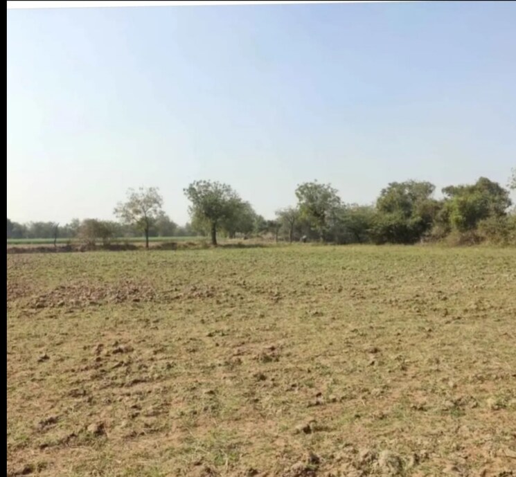 Cover Image, lilapur  14886 Sq.Ft. Plot In Lilapur Ahmedabad 8445869