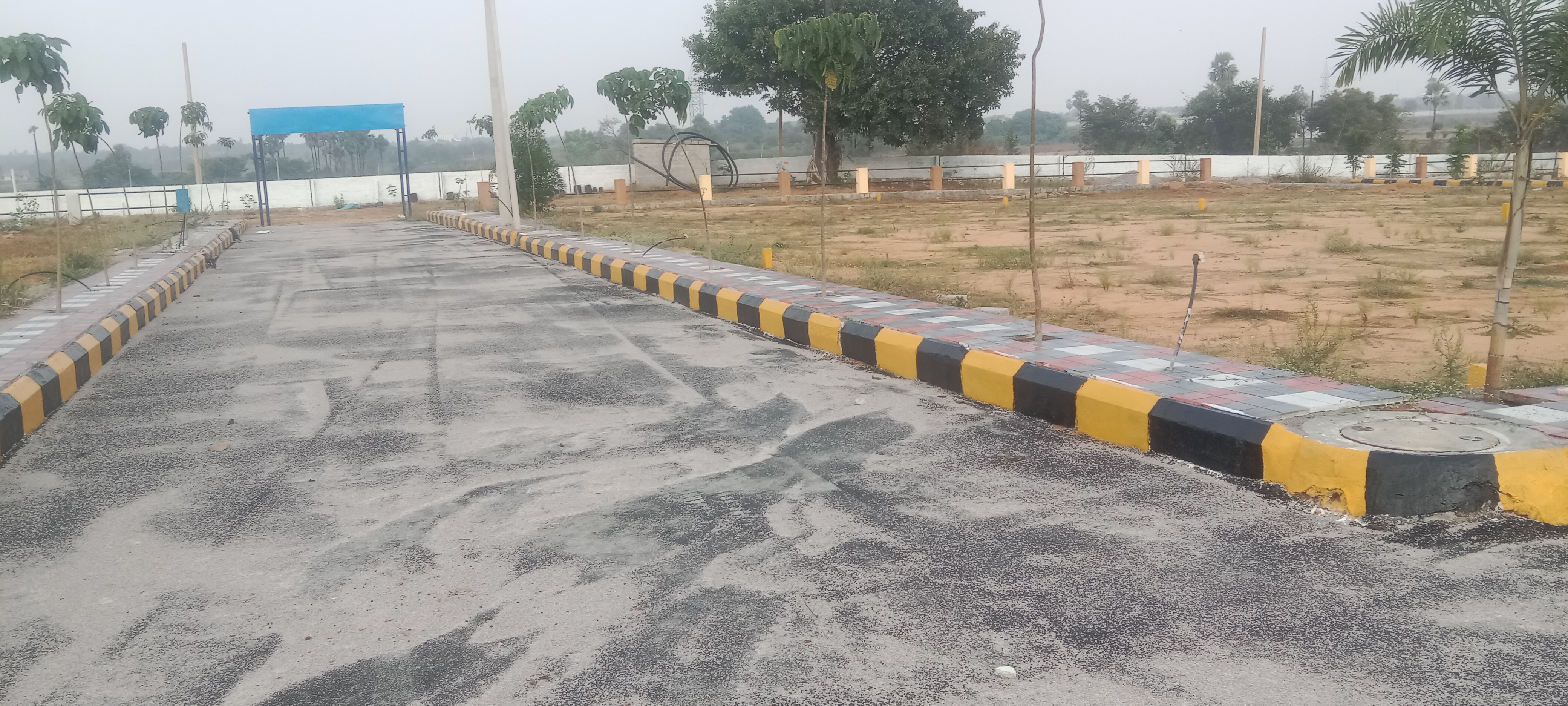 Plot For Resale in Anandbagh Hyderabad  6153552