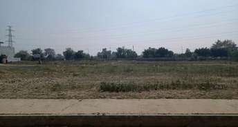  Plot For Resale in Sector 76 Faridabad 6781968